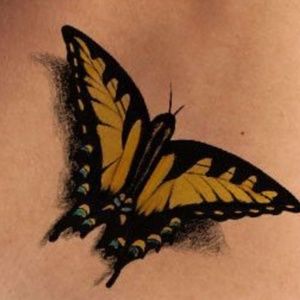 Meet your Posher, Sandy